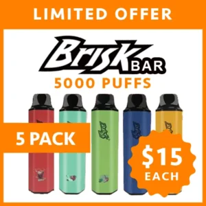 Brisk Bar 5000 Puffs — 5 Pack